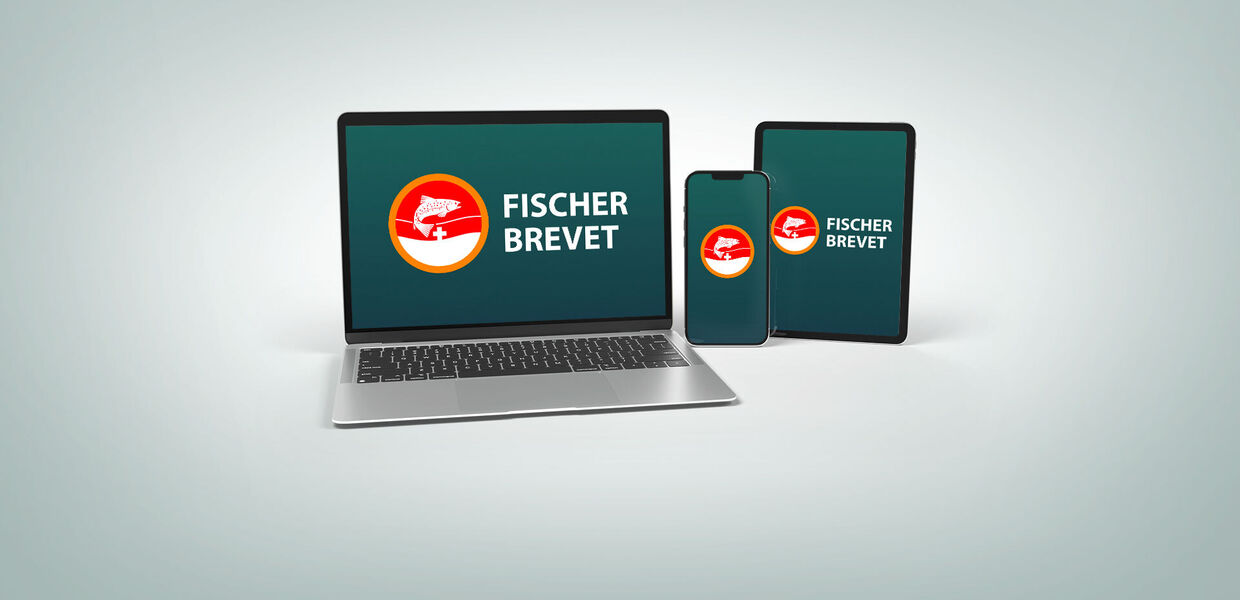 [Das neue] Fischer Brevet eLearning [ist da!]