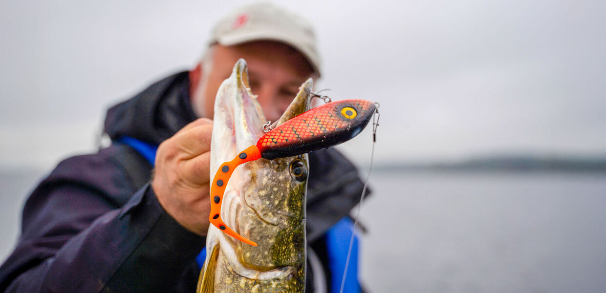 [Tailbaits:] <br/>Halb Jerkbait und halb Twister