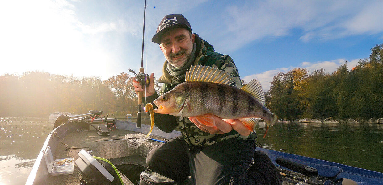 C und T – zwei bewährte Rigs für Winter-Egli