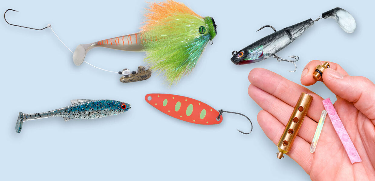 Köderentdeckungen 2025