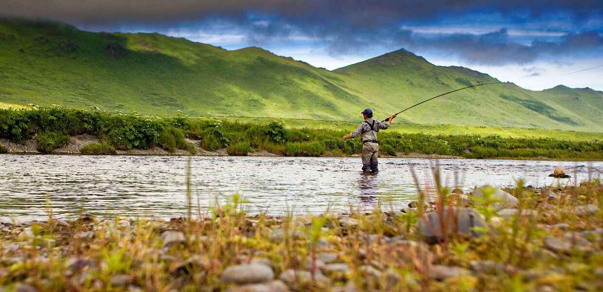 Andino übernimmt fishbreak.ch
