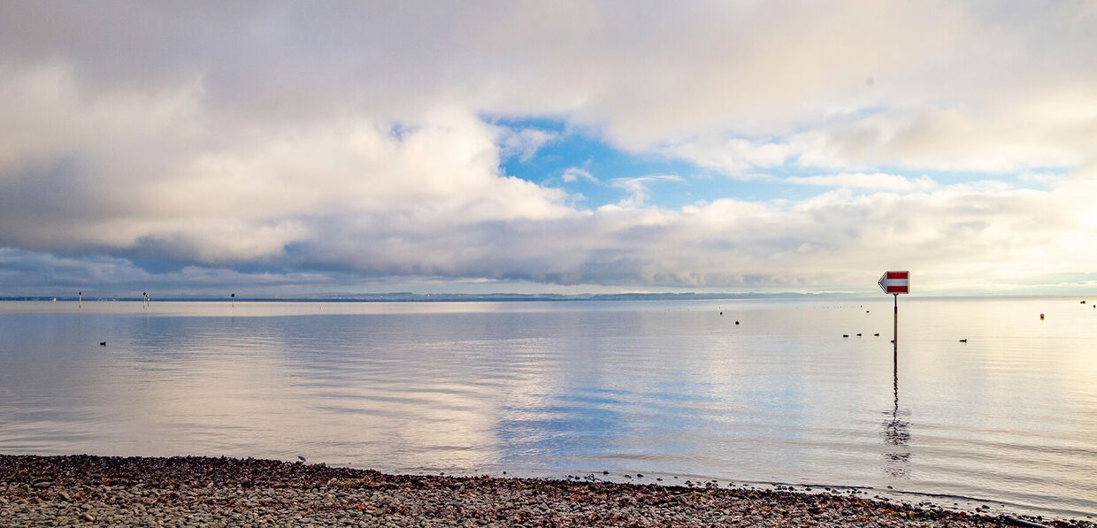 Bodensee: Neues Seeforellen-Schonmass 60 cm