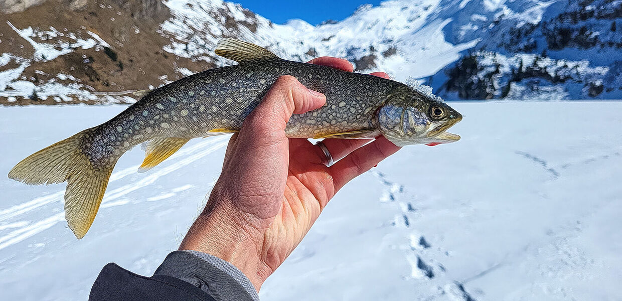 Eisfischen im Frühling