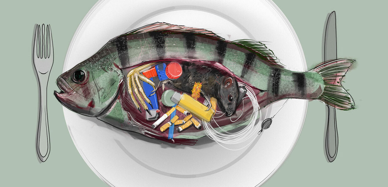Fish happens