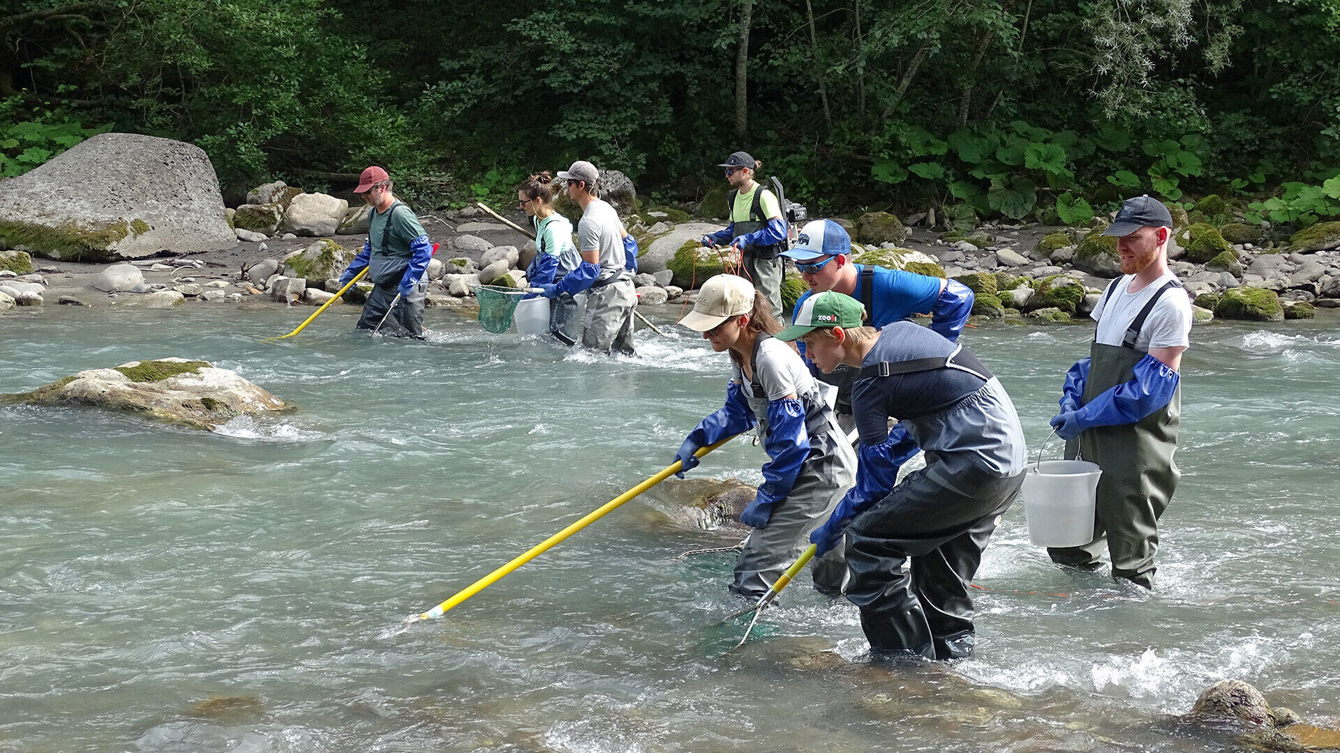 Maison de la Rivière: <br/>[Wie sich die Westschweizer Fischgemeinschaften verändern]