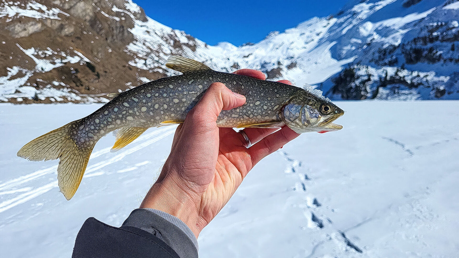 Eisfischen im Frühling