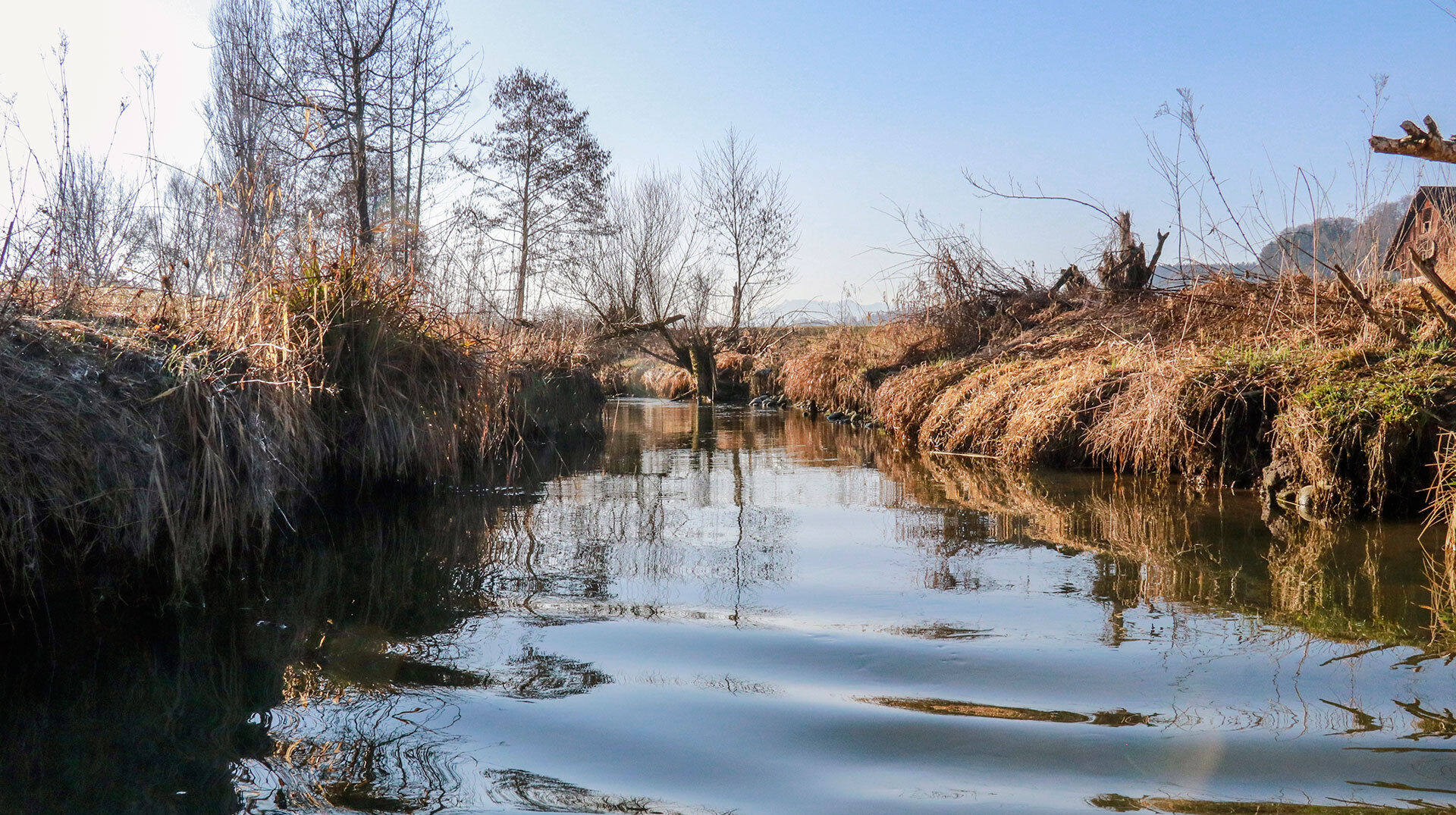 Wyna: Jetzt reden die Pächter