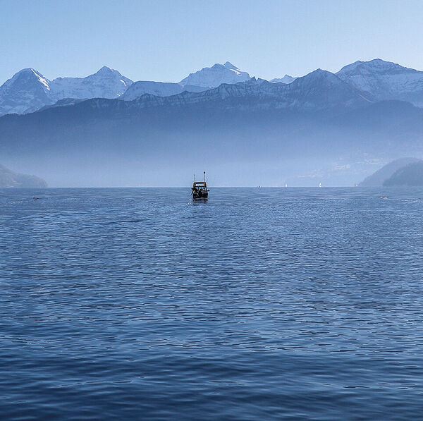 Rasante Veränderungen in den Schweizer Seen 