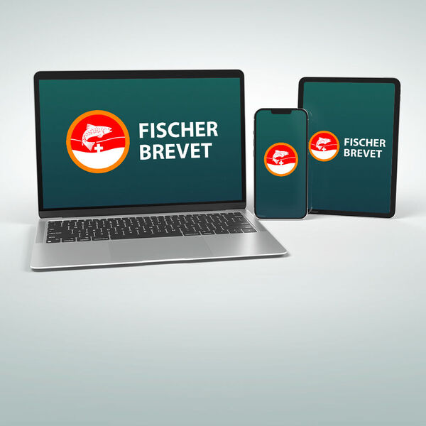 [Das neue] Fischer Brevet eLearning [ist da!]