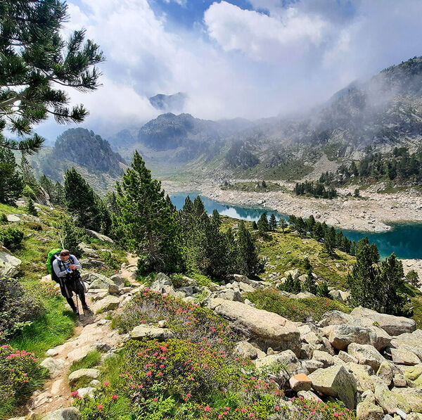 La Salmo Trek