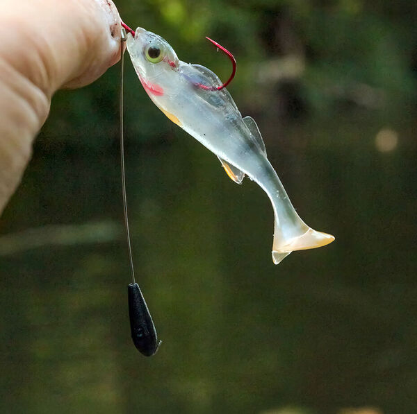 Tokyo-Rig – Fangen im Japan-Style