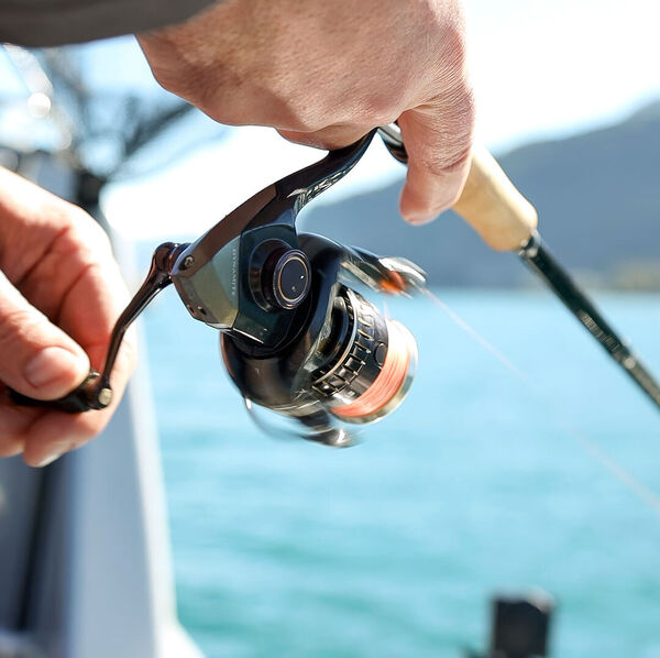 Die richtige Übersetzung bei Spinn- und Multirollen