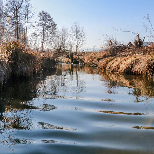 Wyna: Jetzt reden die Pächter