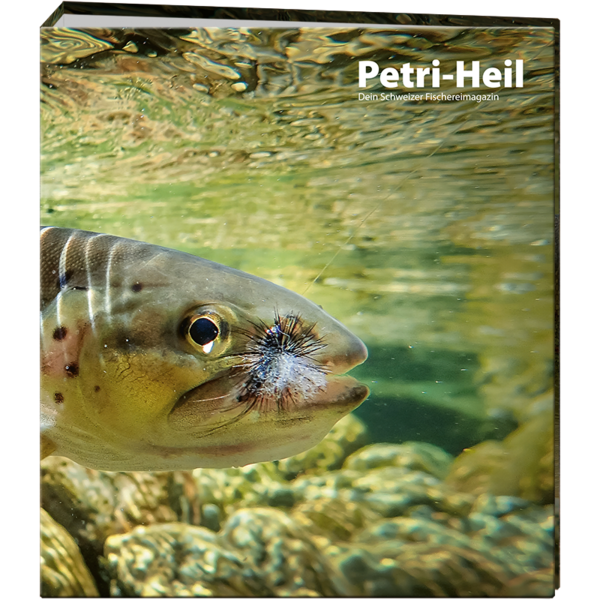 Petri-Heil [Sammelordner «Forelle»]