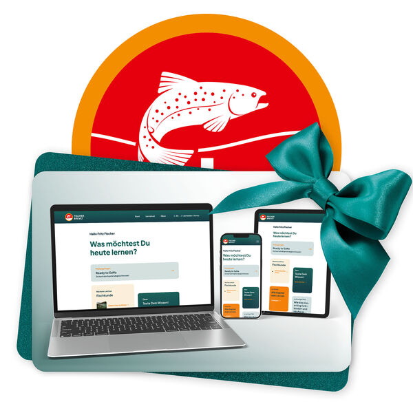 Fischer Brevet eLearning [Geschenkkarte (Solo tedesco)]