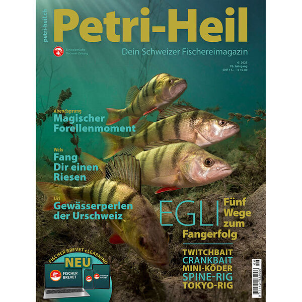 Petri-Heil [6|2025]