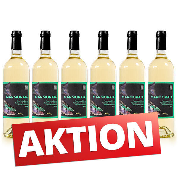 Wein zum Fisch des Jahres 2024