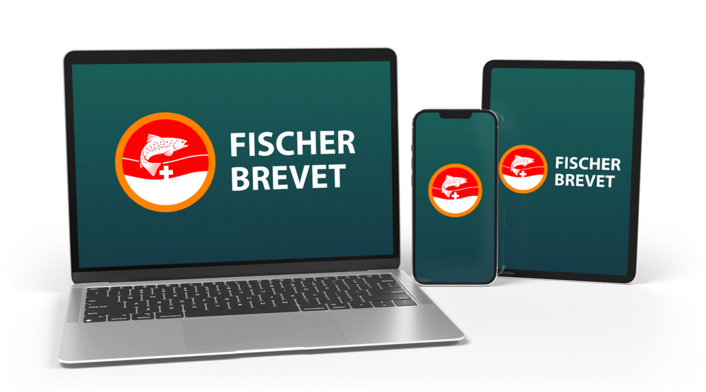 Fischer Brevet eLearning