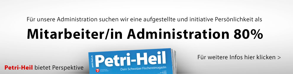 ads